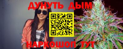 шишки Жуковский
