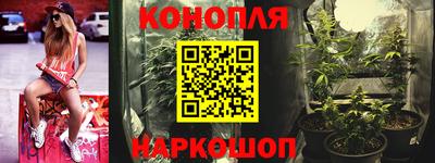 шишки Жуковский